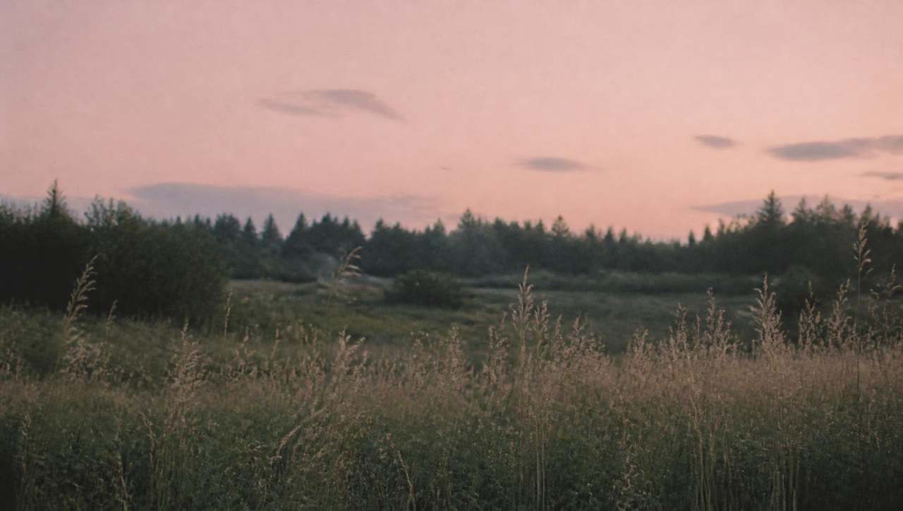 Meadow grasses under a soft dusk sky