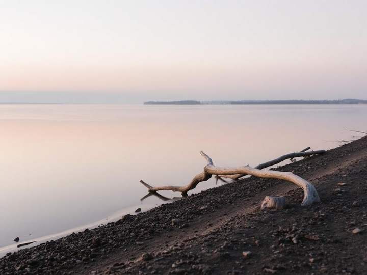 Still water at dusk along a quiet shore